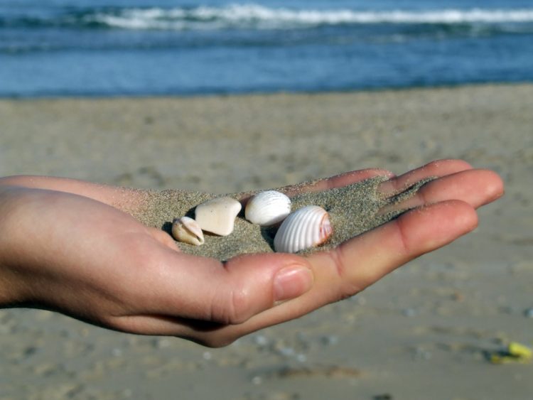 stop collecting shells